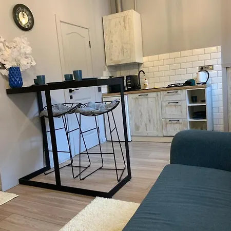 центр. оперний театр. студія