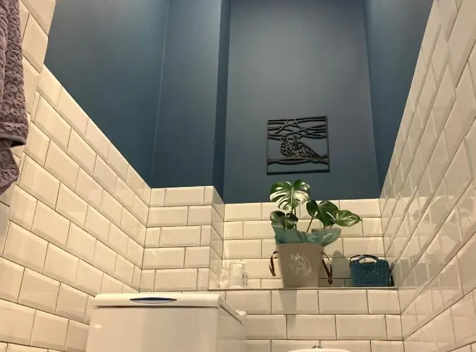 центр. оперний театр. студія إلفيف